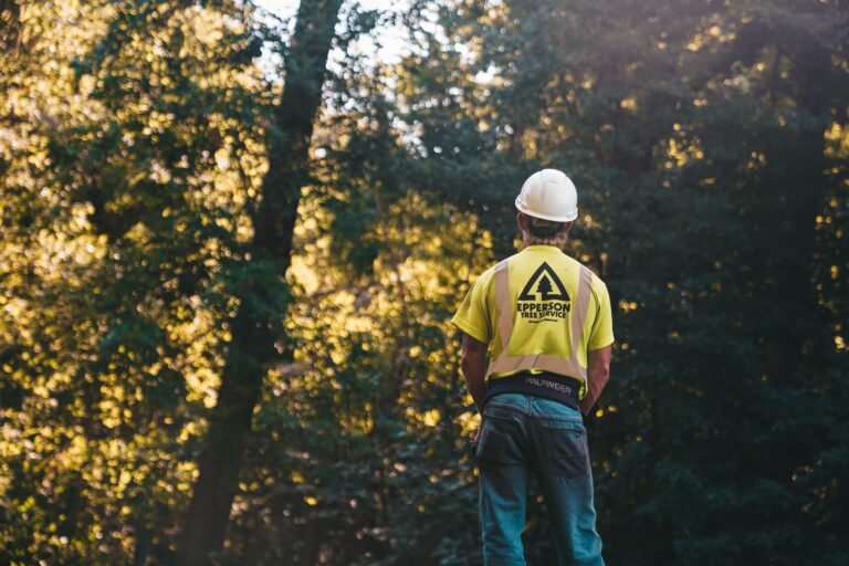 APGENCO AEE Jobs 2026 | Apply Online APGENCO AEE Jobs 2026